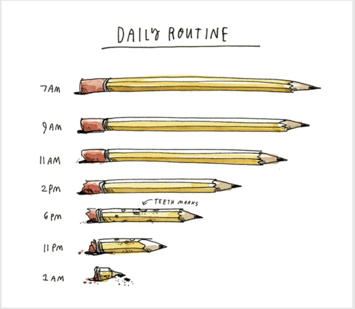 The Psychology of Habits: Understanding the Science Behind Our Daily Routines